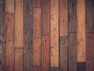 Infos zu Holzwurm bek&auml;mpfen Hausmittel