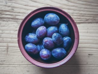 Infos zu Pflaumenbaum Sch&auml;dlinge bek&auml;mpfen